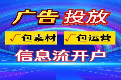 某电商平台信息流广告的精准推广策略