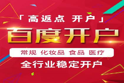 百度广告投放策略优化及成功案例解析